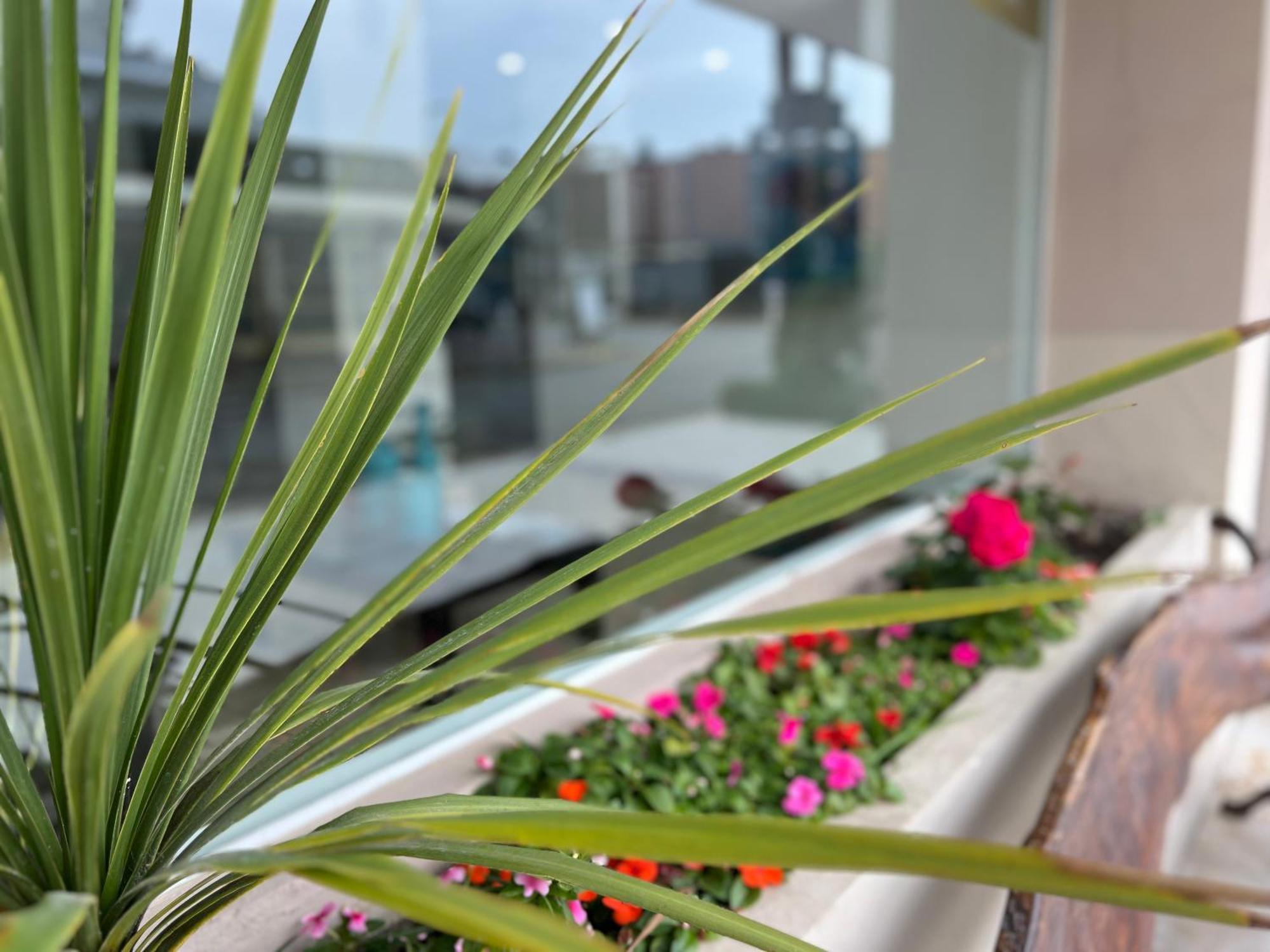 Hotel Gran Continente San Clemente del Tuyú Zewnętrze zdjęcie